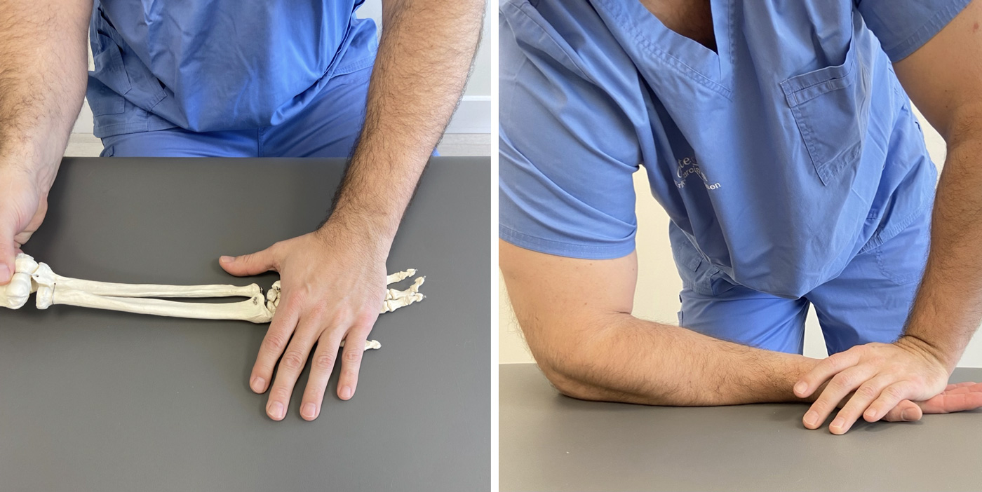 1-extensores-Estiramiento-con-la-mano-apoyada-en-una-superficie-plana-y-estable 1-extensores-Estiramiento-con-la-mano-apoyada-en-una-superficie-plana-y-estable