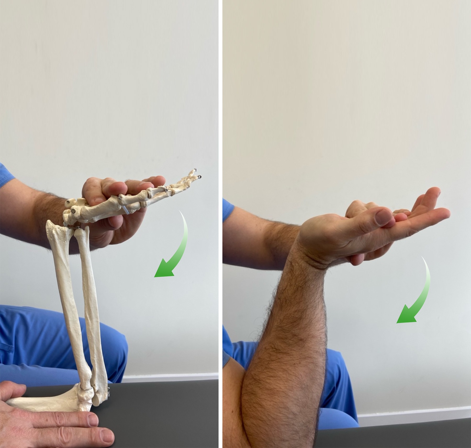 2-Estiramiento-de-los-músculos-flexores-de-la-muñeca