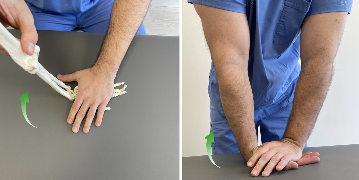 2-extensores-Estiramiento-con-la-mano-apoyada-en-una-superficie-plana-y-estable