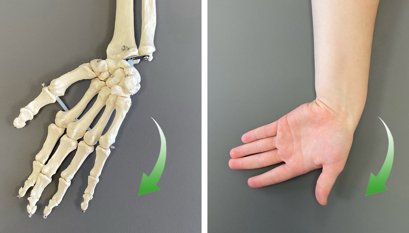 fotos-2-Desviaciones-laterales-2 fotos-2-Desviaciones-laterales-2